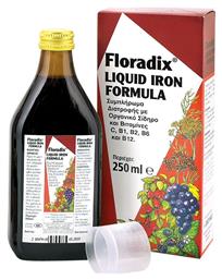 Salus Haus Floradix Liquid Iron Formula