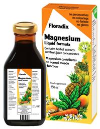 Salus Haus Floradix Magnesium Liquid Formula 250ml από το Pharm24