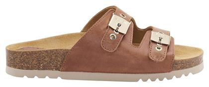 Scholl