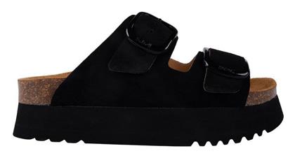 Scholl