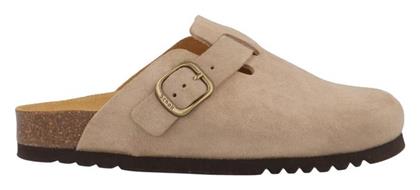 Scholl