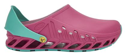 Scholl Ανατομικά Σαμπό