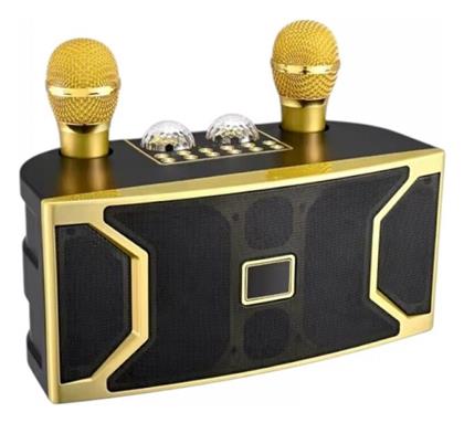 Σύστημα Karaoke με Ασύρματα Μικρόφωνα YS-211 σε Χρυσό Χρώμα