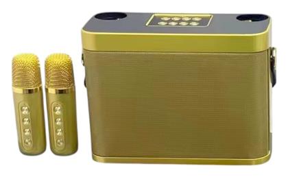 Σύστημα Karaoke με Ασύρματα Μικρόφωνα YS-219 σε Χρυσό Χρώμα