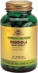 Solgar Rhodiola Root Extract 60 φυτικές κάψουλες