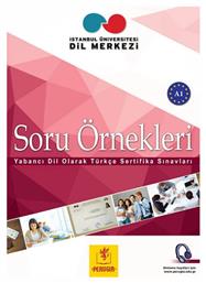 SORU ORNEKLERI A1