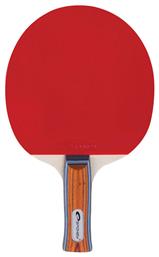 Spokey Exercise Ρακέτα Ping Pong για Αρχάριους Παίκτες από το MybrandShoes