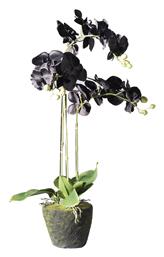 Supergreens Τεχνητό Φυτό σε Γλάστρα Ορχιδέα Phalaenopsis Real Touch 85cm