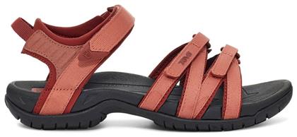 Teva