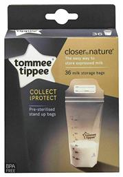 Tommee Tippee Σακουλάκια Αποθήκευσης Μητρικού Γάλακτος 36τμχ