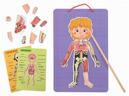 Tooky Toys Μαγνητικό Παιχνίδι Κατασκευών Μαθαίνω το Σώμα μου