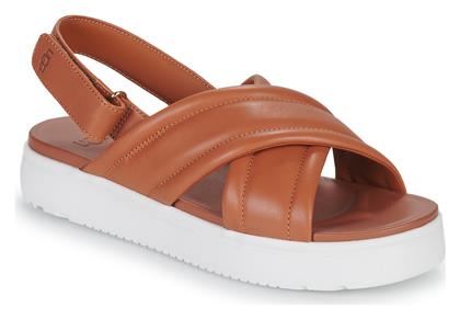 Ugg Australia Zayne Γυναικεία Σανδάλια Flatforms σε Ταμπά Χρώμα