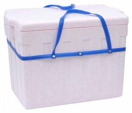 Viosarp Φορητό Ψυγείο 32lt Λευκό