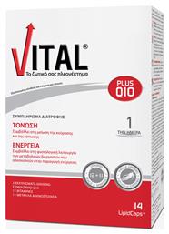 Vital Plus Q10 Πολυβιταμίνη 14 μαλακές κάψουλες